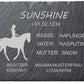 Boxenschild aus Schiefer Typ "Reiterin"
