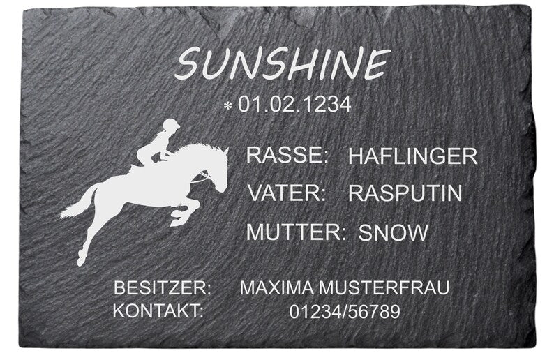 Boxenschild aus Schiefer Typ "Sprung"